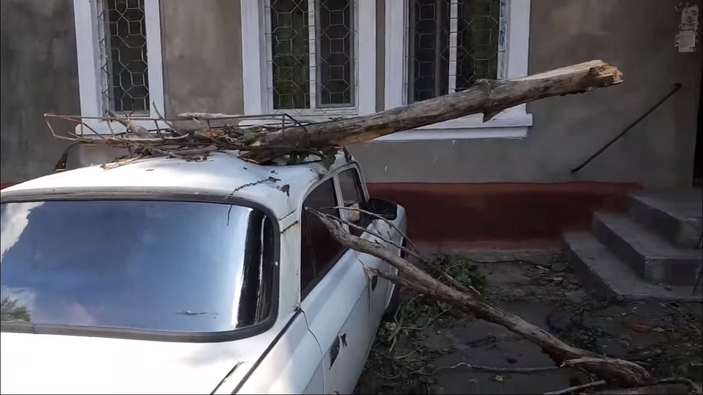 В Александрии крышу «Москвича» насквозь пробило ветками (ВИДЕО)