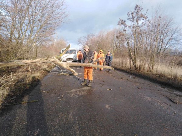 Сломанные дорожные знаки и деревья – последствия сильного ветра