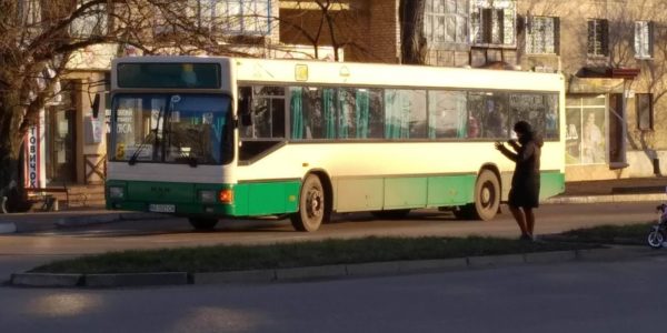 В Александрии на время карантина ввели новый график движения автобусов