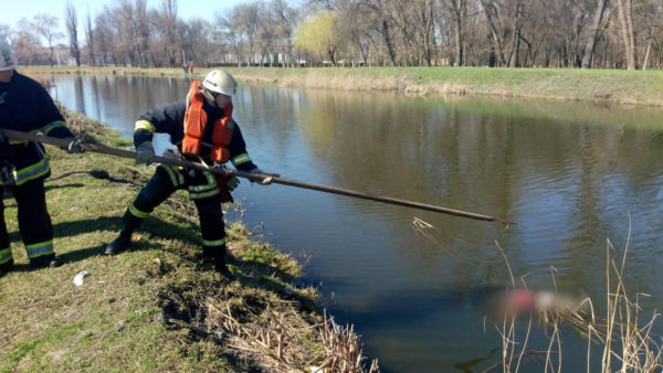 В реке Березовка нашли тело мужчины