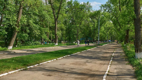 Как будет выглядеть обновленный парк Шевченко? (ЭСКИЗ)