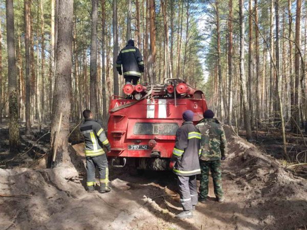 Спасатели Кировоградской области показали, как тушат пожар в лесах Чернобыля (ВИДЕО)