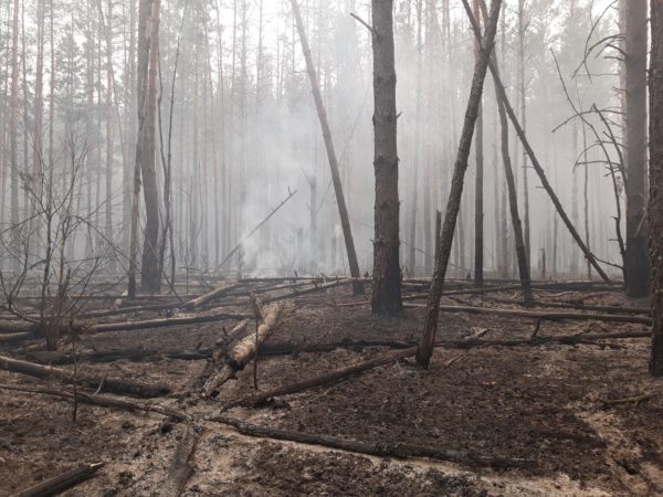 Александрийские спасатели тушат пожар в лесах Чернобыля