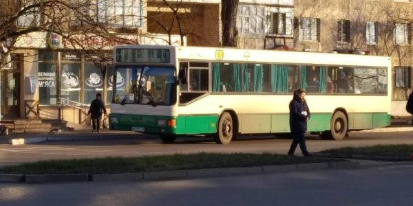 В Александрии возобновили работу городские автобусы с льготными рейсами
