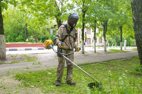 В Александрии требуются 4 работника по уборке территорий и косари