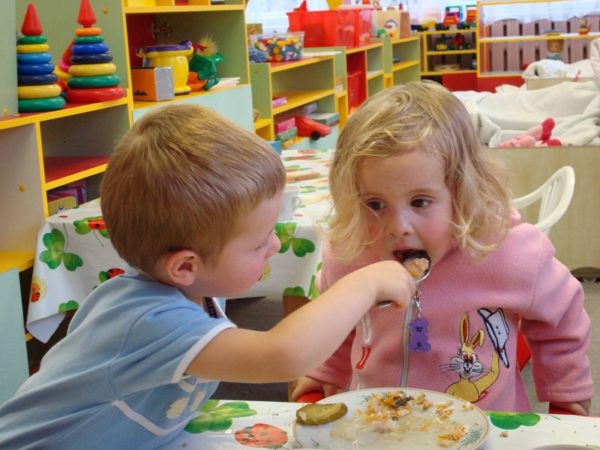 В александрийских школах и детских садах увеличится стоимость питания