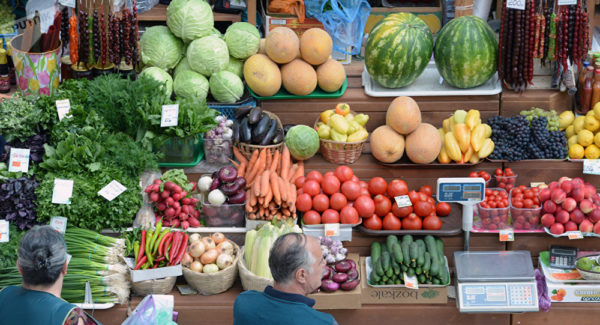 Сын александрийского депутата на бесконкурсной основе выигрывает тендеры на поставку овощей в детские сады с ценами выше рыночных