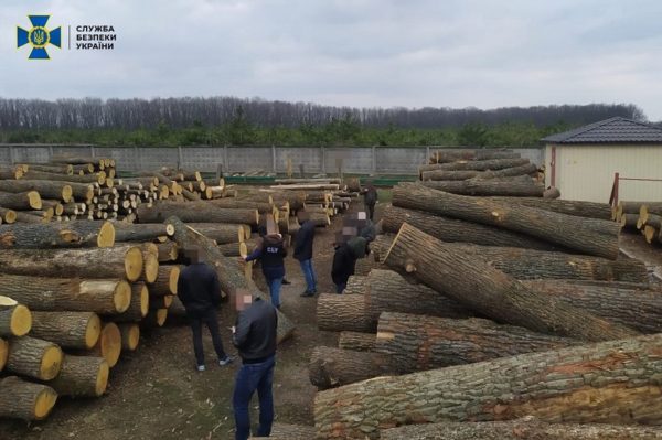 Из лесов Кировоградской области под видом низкосортной продукции за границу продавали ценные породы древесины (ФОТО)