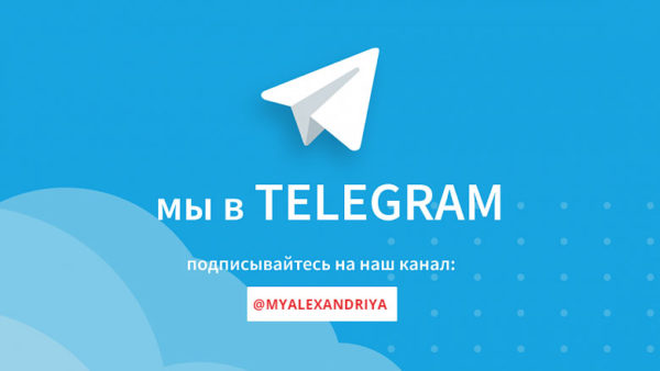 Новости Александрии в Telegram