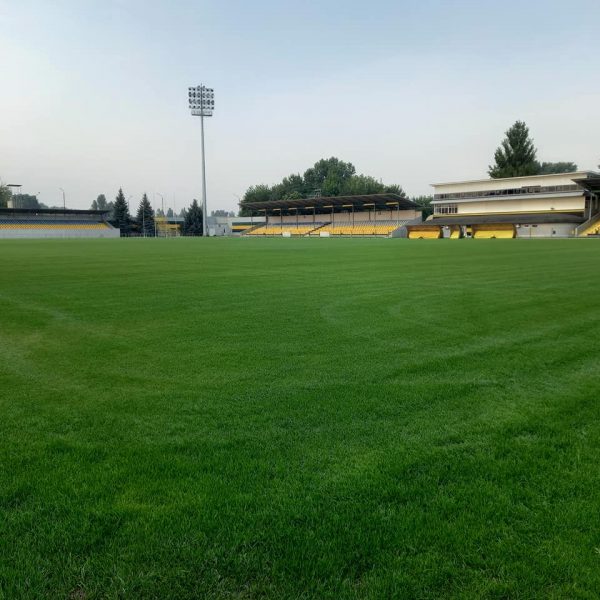 Кировоградское футбольное дерби пройдет на обновлённом поле стадиона «Ника»