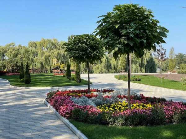 Стоимость строительства фонтана в парке Шевченко составит 13 млн. грн. Реконструкция парка продлится до 2023 года